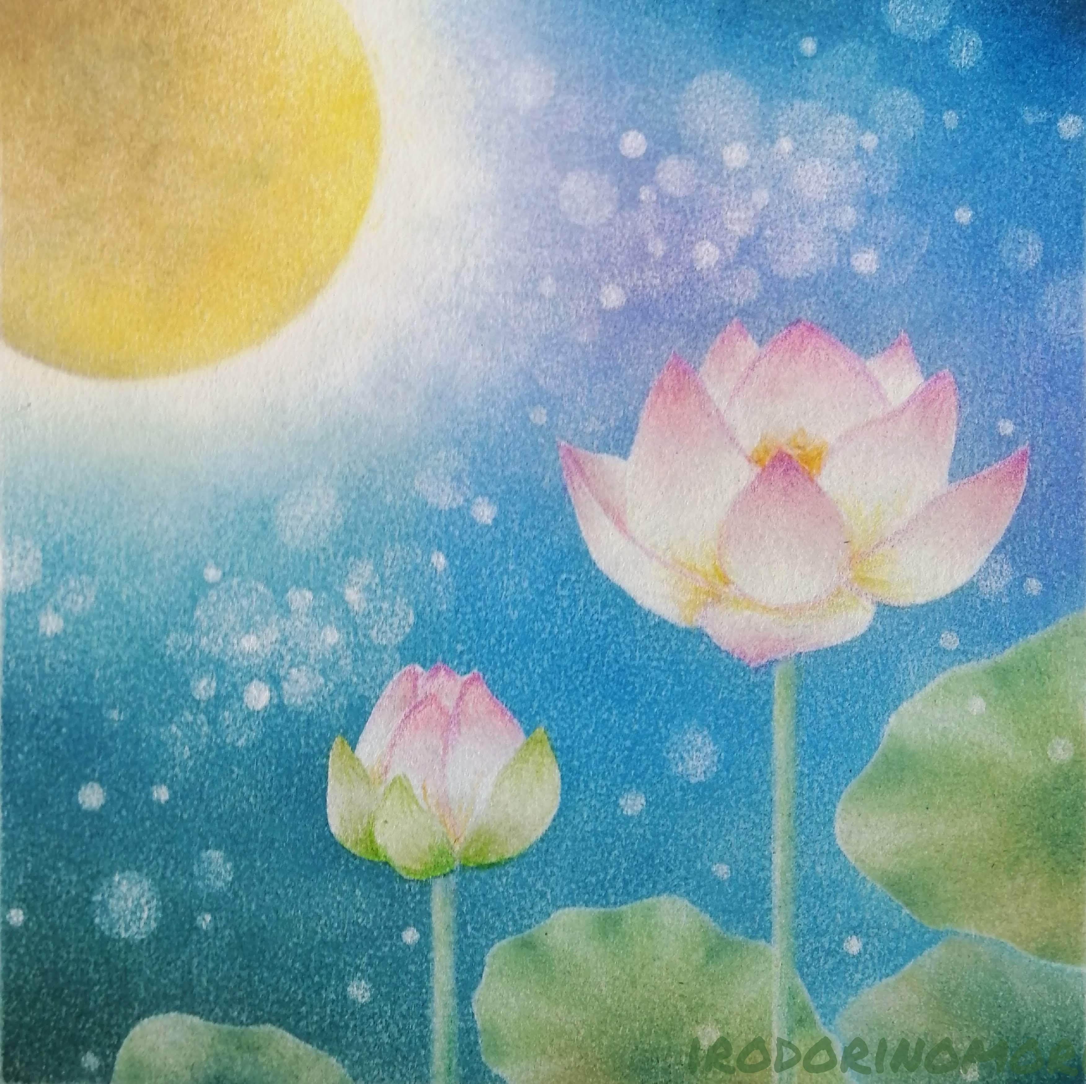 Polish_20220526_151422412