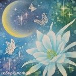 植物図鑑：月下美人　★★★★☆　