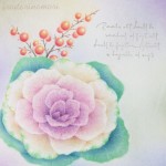 植物図鑑～葉牡丹～　★★★★☆