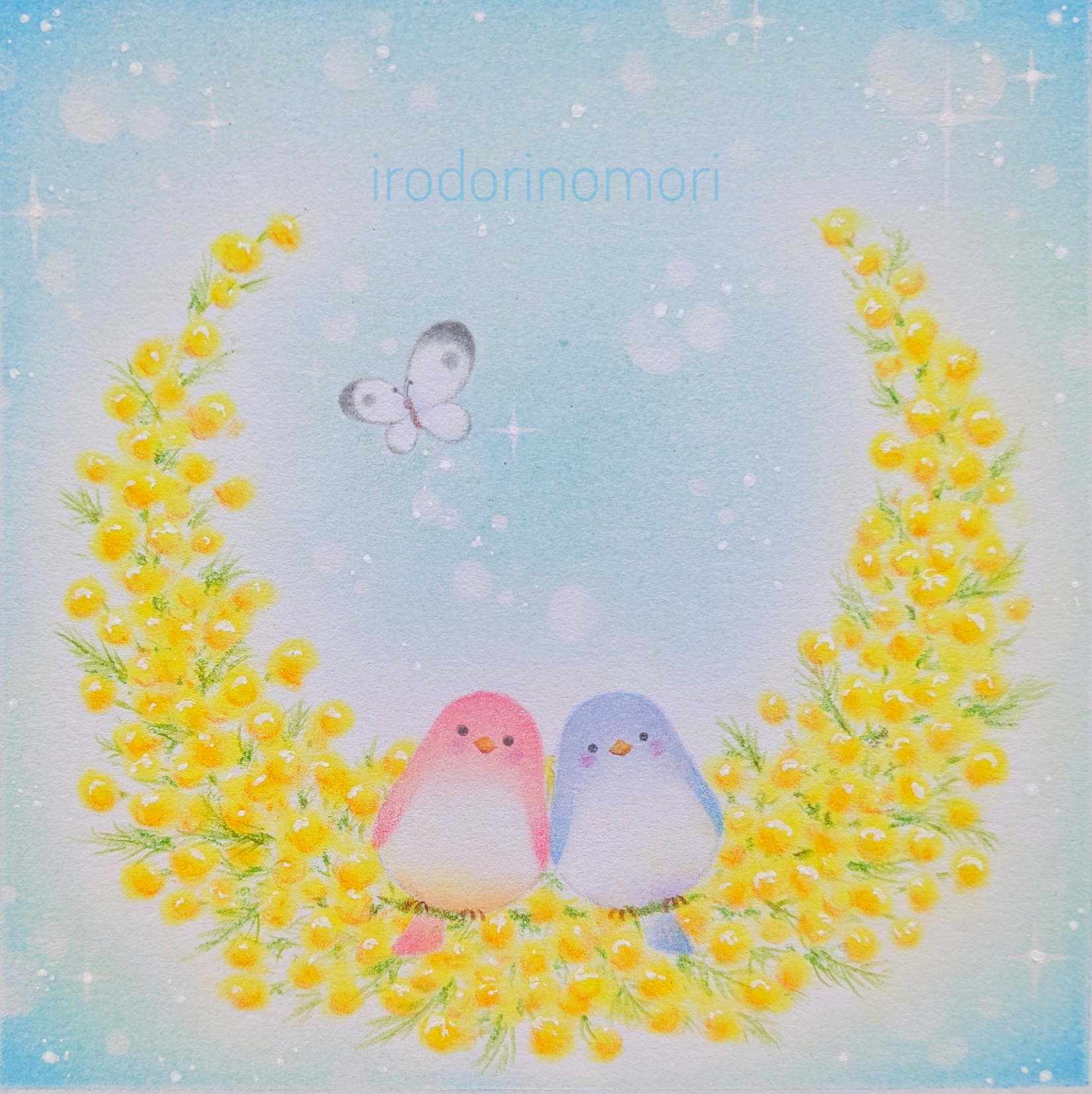 ミモザに包まれて　★★★☆☆