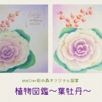 Collage_2026-02-04_21_32_41 (1)