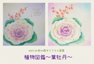 Collage_2026-02-04_21_32_41 (1)